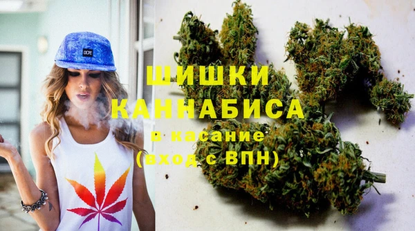 индика Дмитров
