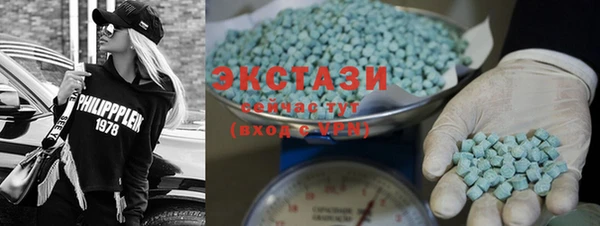 индика Дмитров
