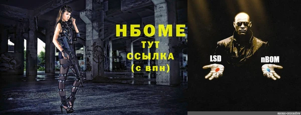 прущие грибы Дмитровск