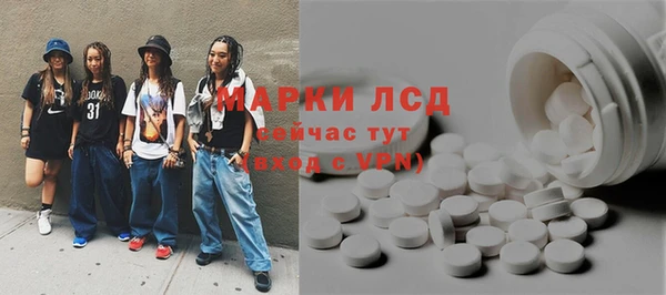 прущие грибы Дмитровск