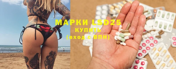 прущие грибы Дмитровск
