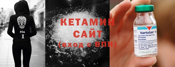индика Дмитров