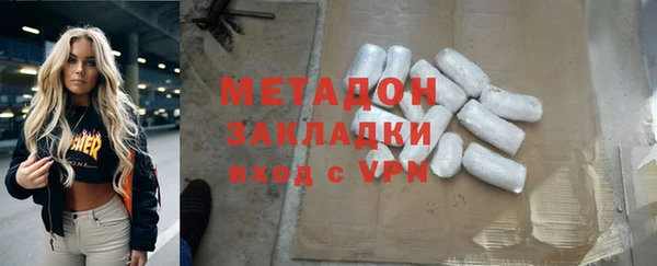 индика Дмитров