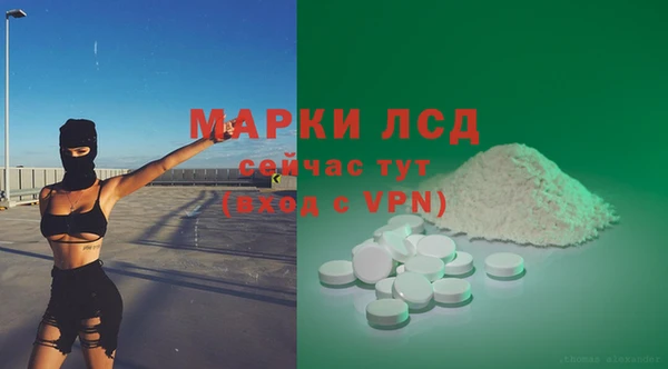 прущие грибы Дмитровск