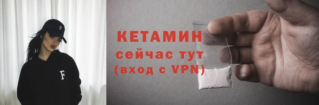 прущие грибы Дмитровск