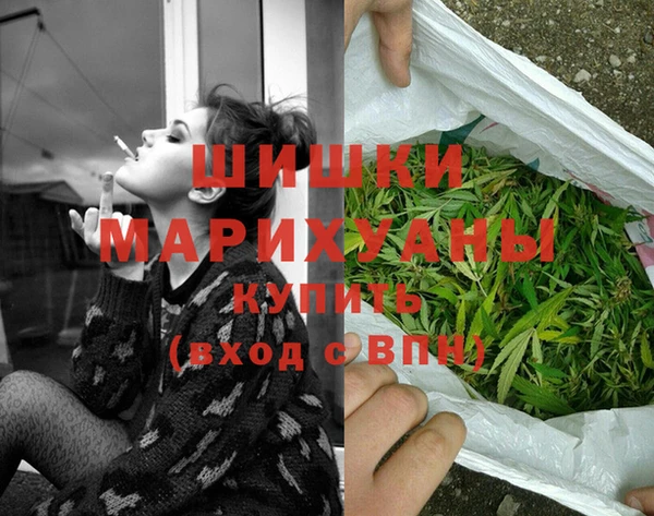 прущие грибы Дмитровск