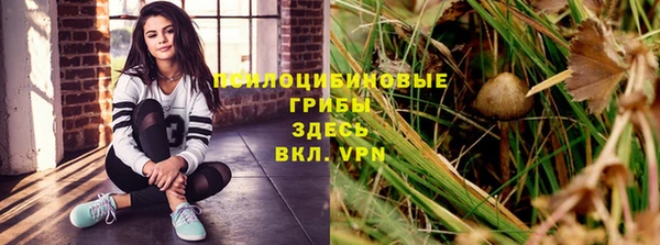 метадон Дмитриев