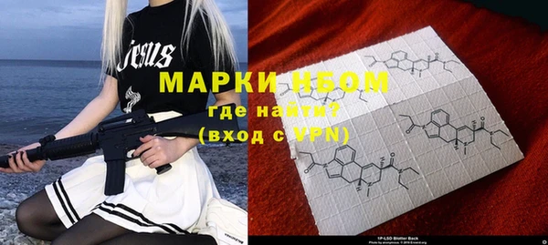 индика Дмитров
