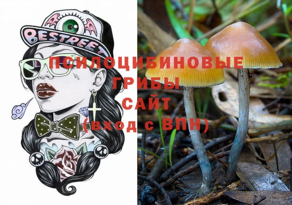 индика Дмитров