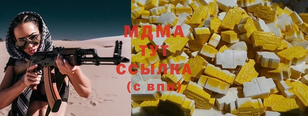 индика Дмитров