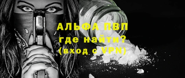 индика Дмитров