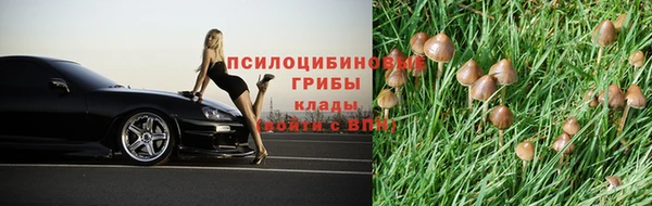 индика Дмитров