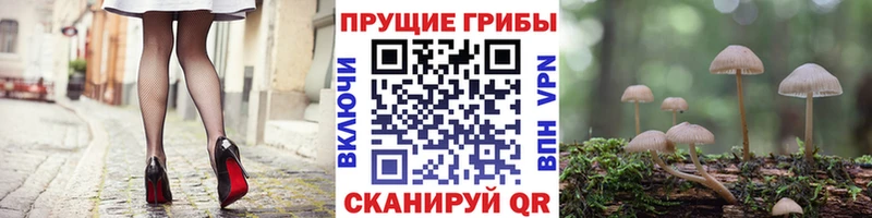 Галлюциногенные грибы мицелий  Купить закладки  Камешково 